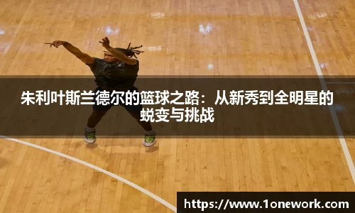 朱利叶斯兰德尔的篮球之路：从新秀到全明星的蜕变与挑战